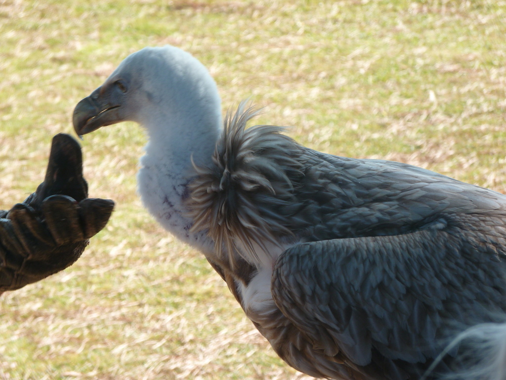 No s'ha trobat l'arxiu